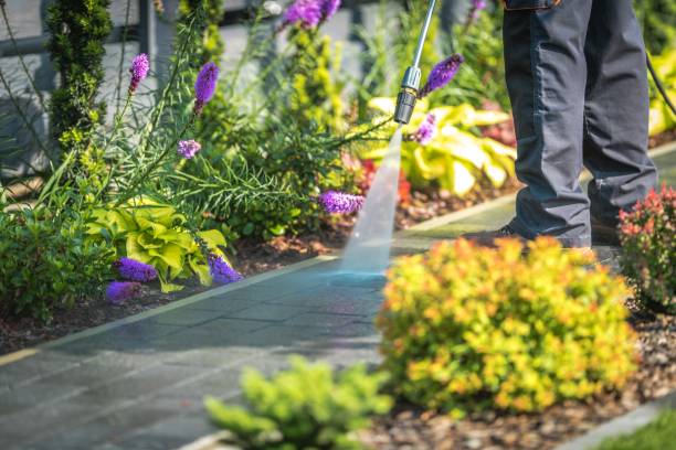 Best Spring Cleaning  in Cadiz, KY